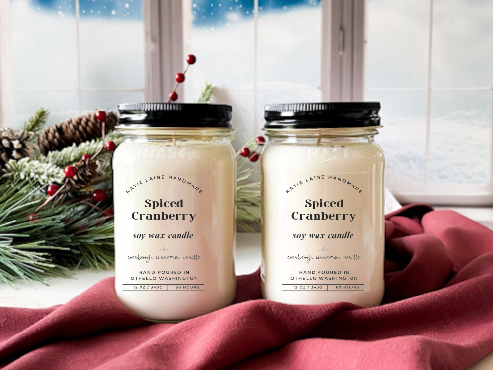 Spiced Cranberry Soy Wax Candle or Beeswax Blend Wax Melt – Warm & Fruity Scent