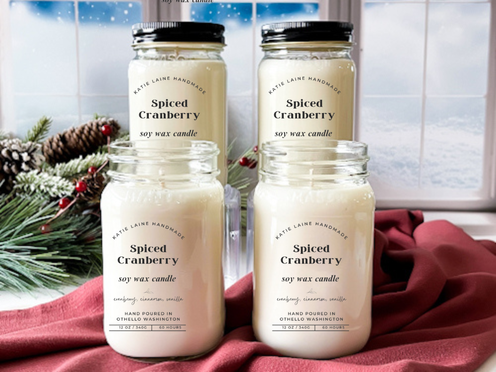 Spiced Cranberry Soy Wax Candle or Beeswax Blend Wax Melt – Warm & Fruity Scent