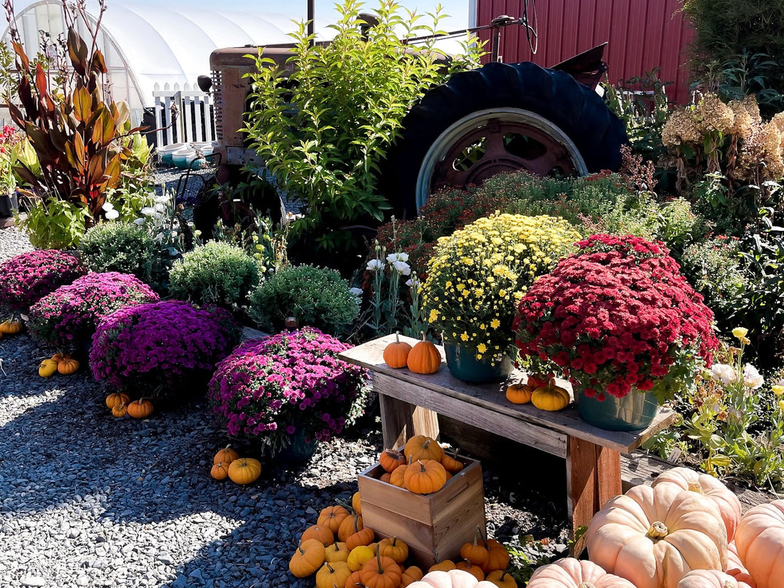 A Quiet Shift: September in the Studio