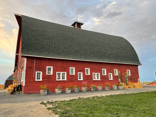 In the Thick of It: October in the Studio