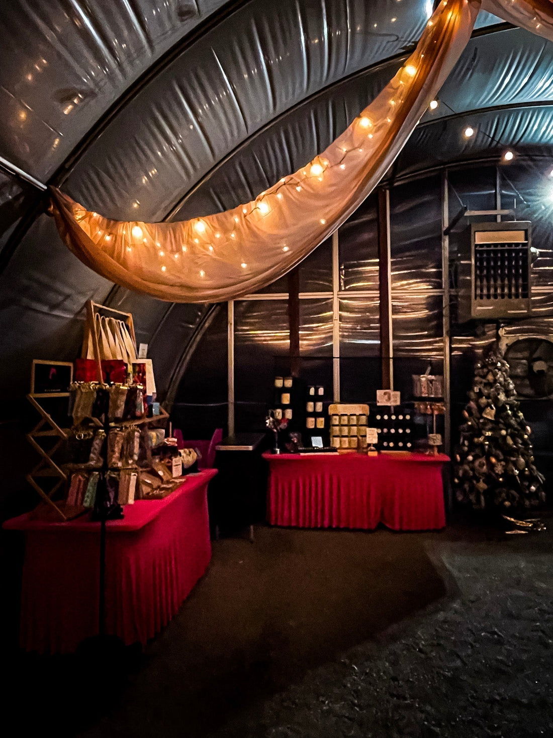 Pop-Up Postcard:  November 6-11, 2025 - Seed Cupboard Christmas Market