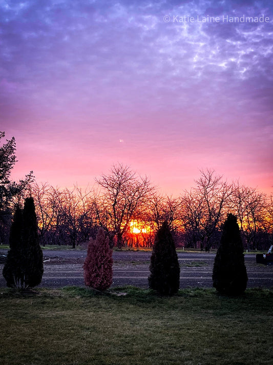 A Soft Start to the Year